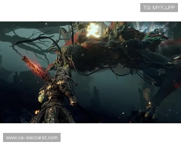 《探索黑神话悟空游戏文件夹结构深度解析与内容揭秘》