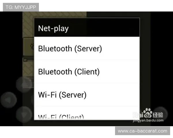 如何在PLA模拟器中导入和运行游戏的详细步骤指南 如何在PLA模拟器中导入和运行游戏的详细步骤指南